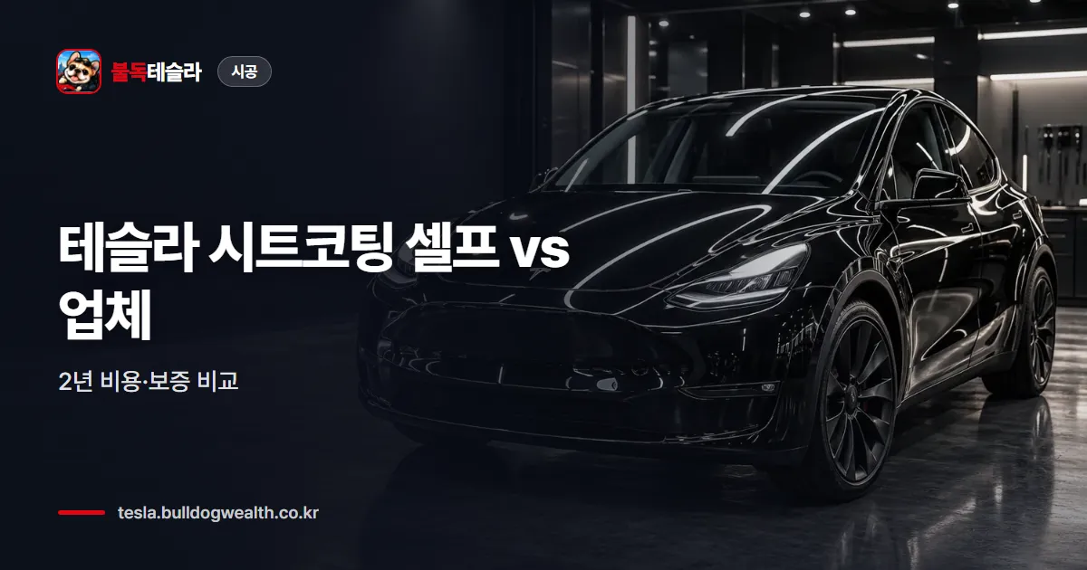 테슬라 시트코팅 셀프 vs 업체 — 2년 비용·보증 비교